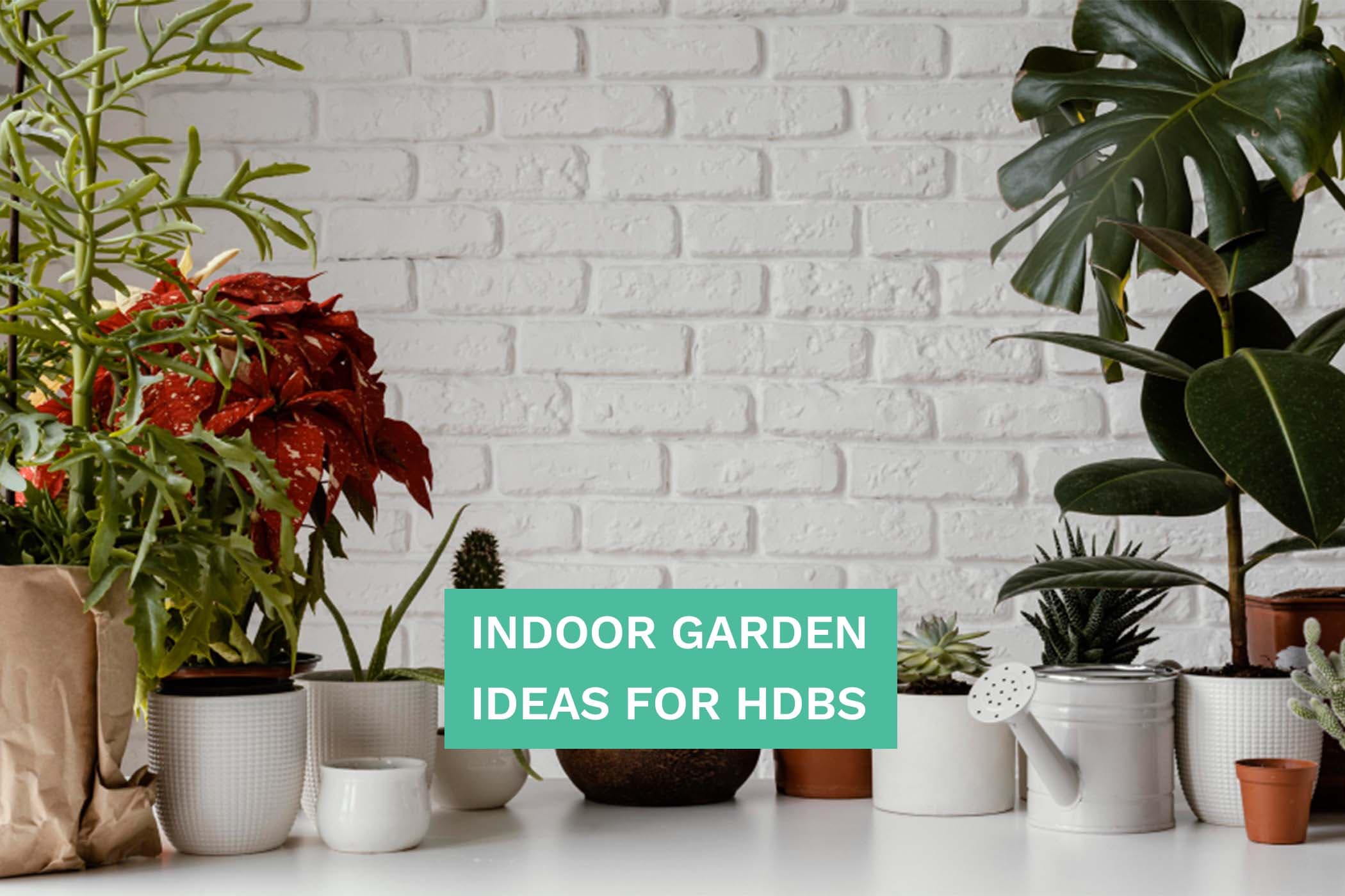 Indoor Garden Ideas For HDBs