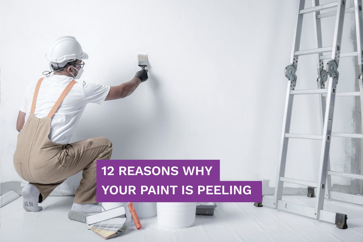 12 Reasons Why Your Paint Is Peeling