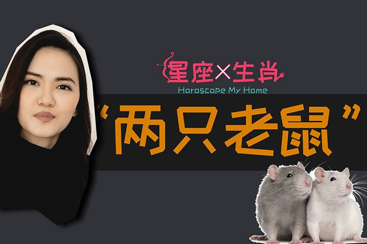 "Rat vs Rat" 星座 x 生肖"两只老鼠“