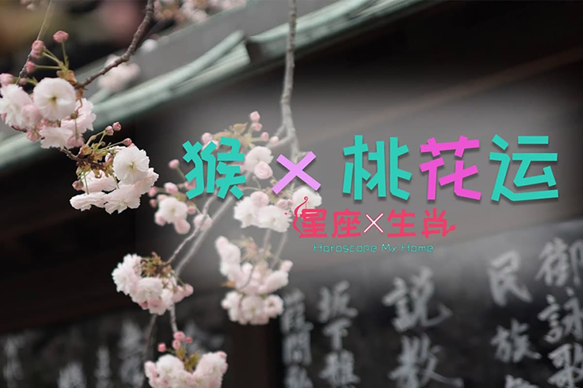 星座 x 生肖 - Monkey x Peach Blossom Luck 猴 x 桃花运 (上