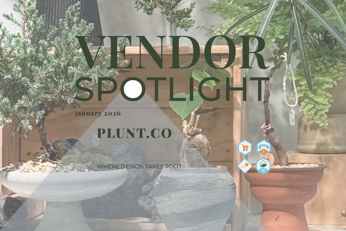 Vendor Spotlight: Plunt.co — Where Design Takes Root 